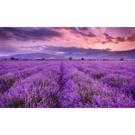 payment link RM1 - RM5 for live gill_gill_shop