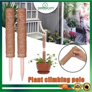 GNC Extendable Coco Stick Coco Fiber Pole Climbing Plant Support Batang Tiang Sabut Kelapa