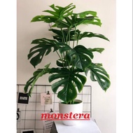 Monstera artificial plant/pokok hiasan monstera