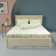 NEW 2025 Set of 3,4 Piece cotton sheets, pillowcases NIN Calisto CT220043 1m2, 1m4, 1m6, 1m8 covered