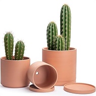 D'vine Dev Terracotta Pots for Plants, 7.8 Inch 9.6 Inch 12 Inch, Round Cylinder Planter Pot with Dr