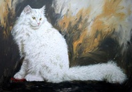 Lukisan istimewa kucing anggora putih