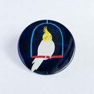 緊湊型鏡子玄鳳鸚鵡