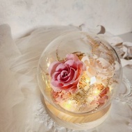 玻璃花盅 草莓奶茶配色 不凋花 永生花 乾燥花 情人節 生日禮物