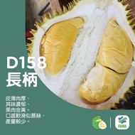 Anak Pokok Durian Tangkai Panjang 🌱 Kanyou 🌱D158長柄🌱🔥Hot Sale🔥