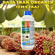 BAJA IKAN UNTUK PERTANIAN 1 LITER #ORGANIK #EM4 /FISH AMINO ACIDS (FAA) 1 LITER #ORGANIC