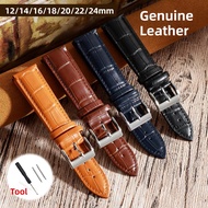 12/14/16/18/20/22/24mm Genuine Leather Watch Strap for Men Women Watch Bracelet Brown Black Blue Wat