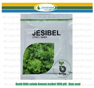 Benih Bibit selada Batavia Jesibel 1000 pill - Bejo seed