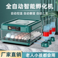 Hot Incubator Small Household Automatic Intelligent Incubator Parrot Chicken Duck Goose Quail Egg Incubator Mini Incubat