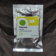 Benih Selada Romaine Tiberius 2500 pil