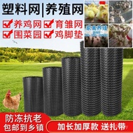 Vegetable Garden Square Grid Corn Thickened Fence Plastic Plastic Net Net Chicken Duck Household Orc