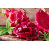 [Keratan Batang] Pokok Buah Naga Merah