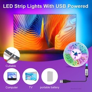 Đèn LED 5V RGB Đèn chiếu sáng USB Opered Backlight Home 24 Bộ điều khiển hồng ngoại khóa RGB DIY DIY