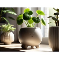 Cauldron Plant Pot – Happy Cauldron Planter for Succulents & Home Decoration