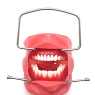 Dental Opener Stainless Steel Lip Cheek Retractor Full Mouth Support Mouth Opener Dental Tools