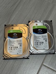 Seagate SkyHawk 4TB Surveillance 4TB HDD 4TB 硬盤(兩隻)
