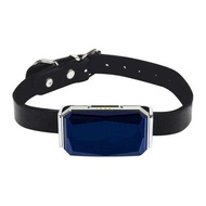 G12 G12p 2G GSM Pet GPS Tracker Locator Universal Mini Waterproof GPRS Location Collar For Cats Dogs