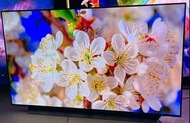LG 55inch 55吋 OLED CX 4K 120HZ Smart TV 智能電視