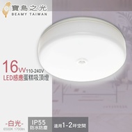 【寶島之光】 16W LED 感應蛋糕吸頂燈/白光 Y6S16DEI