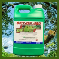 [ORIGINAL] 4L SET-UP 480 GLYPHOSATE 41% RACUN RUMPUT LALANG/RACUN RUMPAI SERUPA ROUNDUP/HERBICIDE/IM
