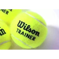 Wilson Tennis Trainer Training Ball (Price for 1 PIECE)