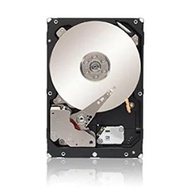 Seagate Constellation ES.3 2TB(中古品)