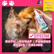 CATFLEA Ubat Kurap Kucing Paling Mujarab Spray Kurap Ubat Gatal Fungus untuk Kucing Obat Kutu Kucing