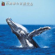 【宜蘭賞鯨】烏石港鯨典賞鯨+環繞龜山島 + 專業解說 - (約2-3小時)成人賞鯨船票