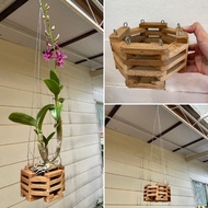 H2O - Pasu Kayu Cantik Gantung Orchid 12cm +- Diameter pasu