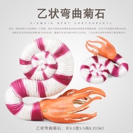 Fun Children's Toys Ancient Biological Cold Warriors Marine Software Animal Conch B-Shaped Curved Am