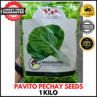 EAST-WEST SEEDS - PECHAY SEEDS - PAVITO 1 KILO