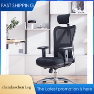 Office Chair E-Sports Ergonomic Chair Waist Protection Backrest Computer Chair Sedentary Gaming Chai