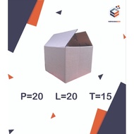 Packing Box 20x20x15