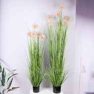 Dandelion Simulation Green Plant Mori Wedding Guide Potted Plant Simulation Onion Ball Bonsai Nordic