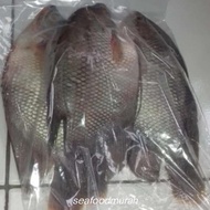 Gurame Utuh 1kg isi 3ekor