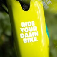 Cutting sticker folding bike sticker road bike fixed bike ride your damn bike vinyl