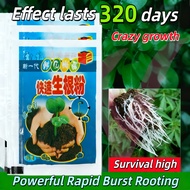 Fast Rooting Powder Hormone Powder - Rooting Powder Fertilizer for All Types of Plants Rapid rooting