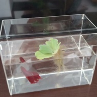 aquarium akrilik 20x20x25