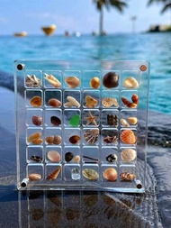 1個貝殼收納盒迷你貝殼收藏盒亞克力磁性高透明微貝標本展示盒
