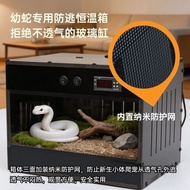 Snake Small Snake Young Snake Dedicated Thermostatic Box Bottom Heating Smart PVC Climbing Pet Insul