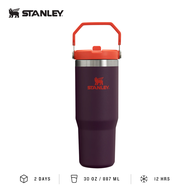 STANLEY The IceFlow™ Flip Straw Tumbler Water Bottle 30 Oz (887ml)