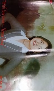 鄧麗君 寶麗金 英文大碟海報 黑膠內的海報(衹售淨海報)