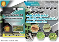 ไฟเตอร์ ( 100 กรัม ) อิมิดาคลอพริด (Imidacloprid 70% WG) สารป้องกันกำจัดแมลง เพลี้ยไฟ เพลี้ยกระโดด เ