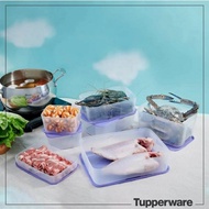 650ml Tupperware box