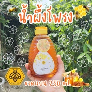 น้ำผึ้งโพรง ขวดแบน 250 ml. น้ำผึ้งแท้ Honey Natural. OTOP ปลอดสารเคมี 100% วิสาหกิจชุมชน เชียงใหม่