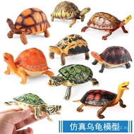 Children's simulated animal models: Brazilian turtle, yellow-edged turtle, albino turtle, tortoise, 