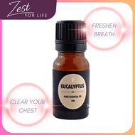 Coughing Breathe Eucalyptus Essential Oil 10ml Aroma Fragrances Air Diffuser Aromatherapy Fragrance 