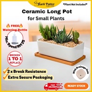 Long Size Ceramic Pot for Small Plants