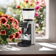 Coffee bean grinder CG5002, 30 grinding sizes
