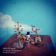 Aquascape Small Bonsai (S)